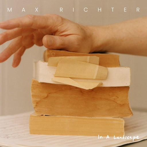 Max Richter - In A Landscape vinyl - Record Culture