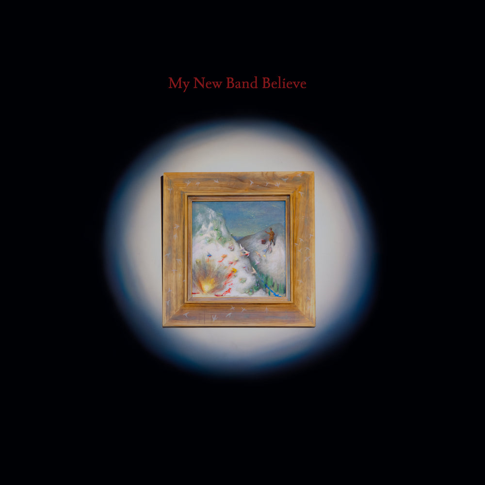My New Band Believe - My New Band Believe vinyl - Record Culture