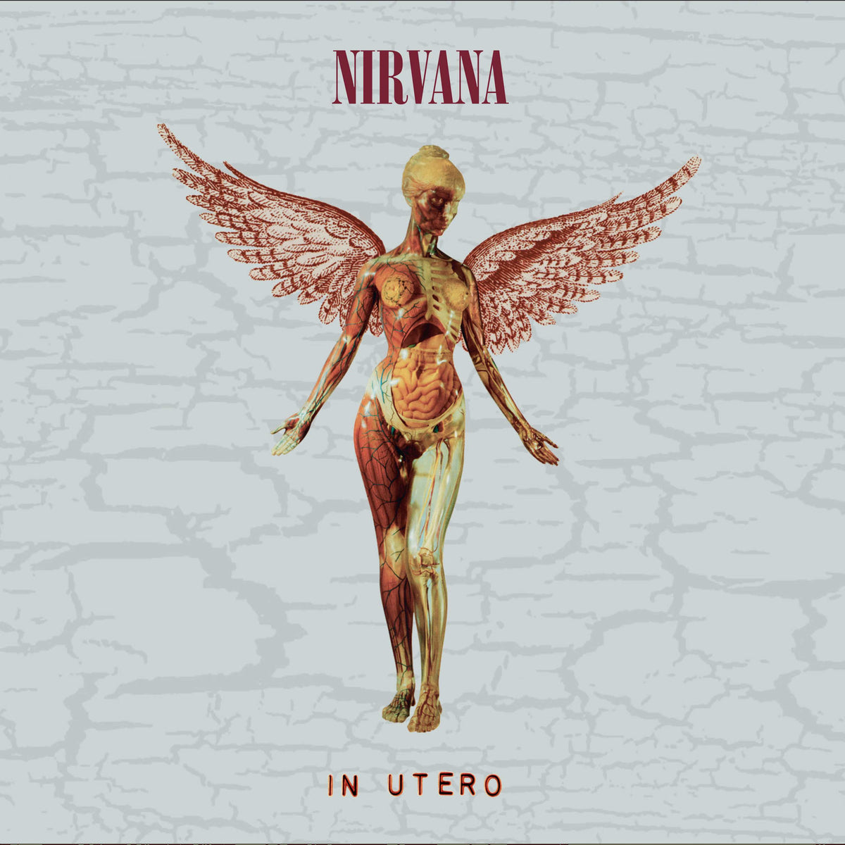 Nirvana - In Utero (30th Anniversary) vinyl - Record Culture