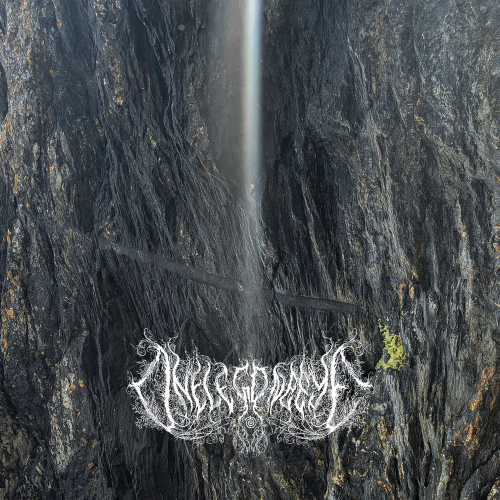 One Leg One Eye - CRONE vinyl - Record Culture