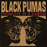 Black Pumas - Chronicles Of A Diamond Vinyl - Record Culture