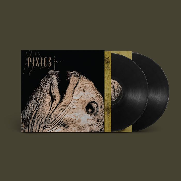 Pixies - Complete B-Sides: 1988-97 Remastered vinyl - Record Culture