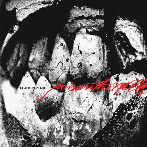 Poison The Well - Peace In Place vinyl - Record Culture