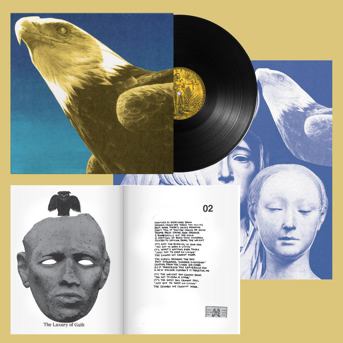Protomartyr - Hotel Usona vinyl - Record Culture