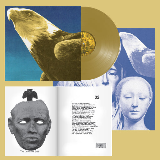 Protomartyr - Hotel Usona vinyl - Record Culture