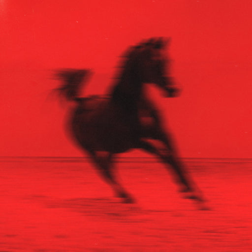 Red Rum Club - BUCK vinyl - Record Culture