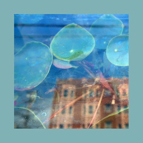 The Reds, Pinks & Purples - Acknowledge Kindness vinyl - Record Culture