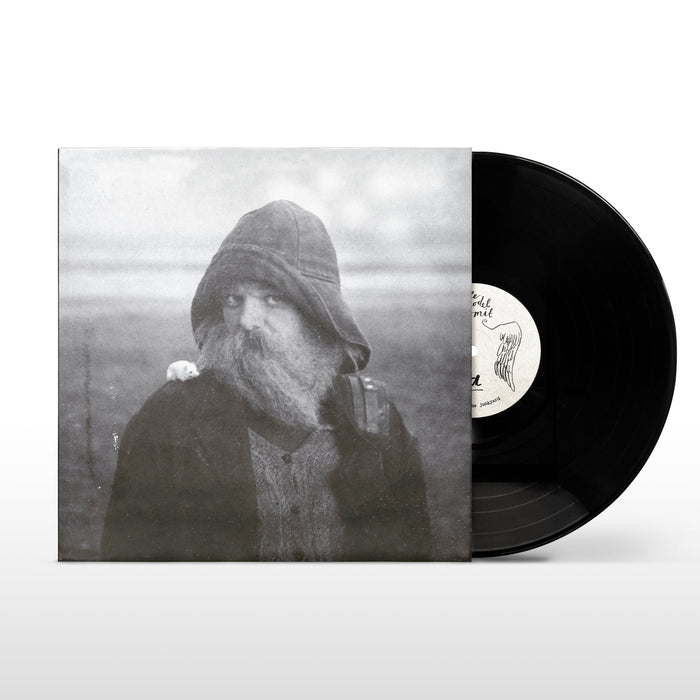 mary in the junkyard - Role Model Hermit vinyl - Record Culture