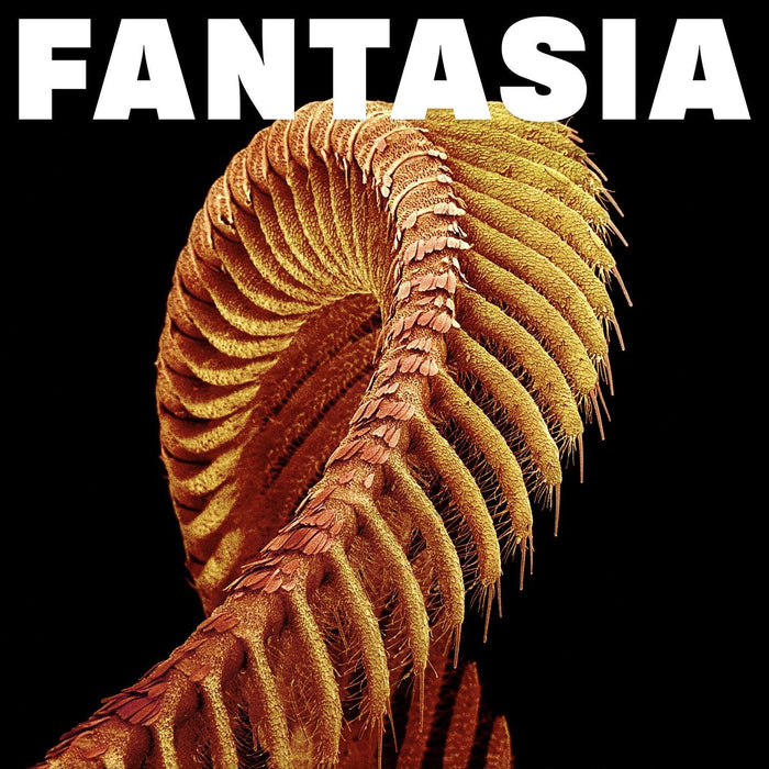 SLIFT - Fantasia vinyl - Record Culture