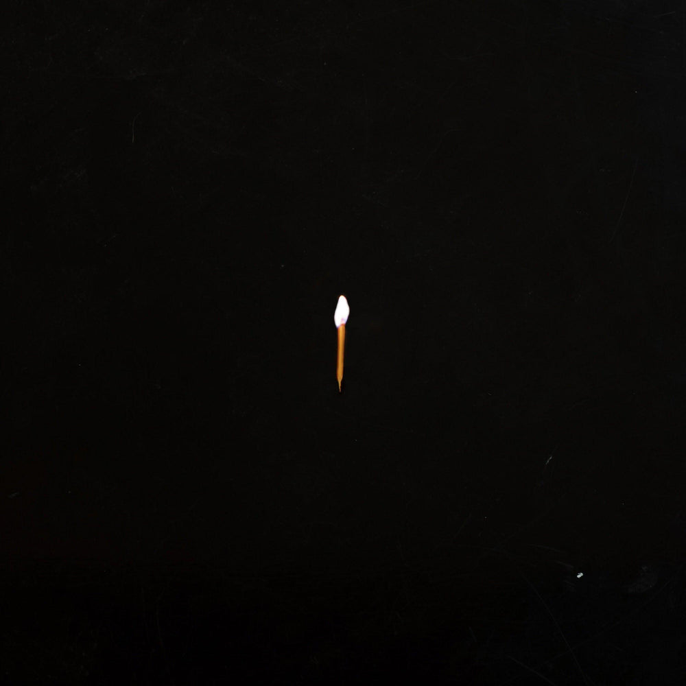 Sault - Chapter 1 vinyl - Record Culture