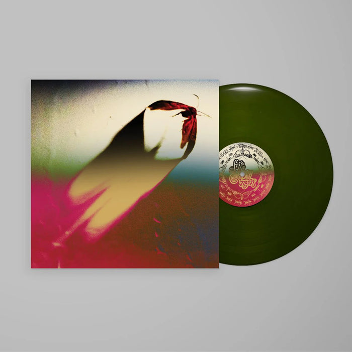 Scowl - Are We All Angels vinyl - Record Culture