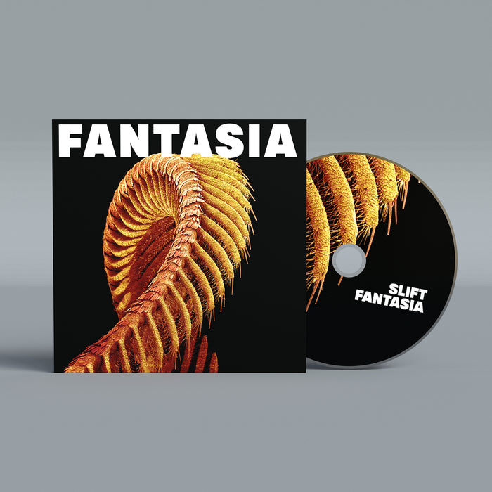 SLIFT - Fantasia vinyl - Record Culture