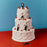 Blossoms - Songs From The Wedding Cake vinyl - Record Culture