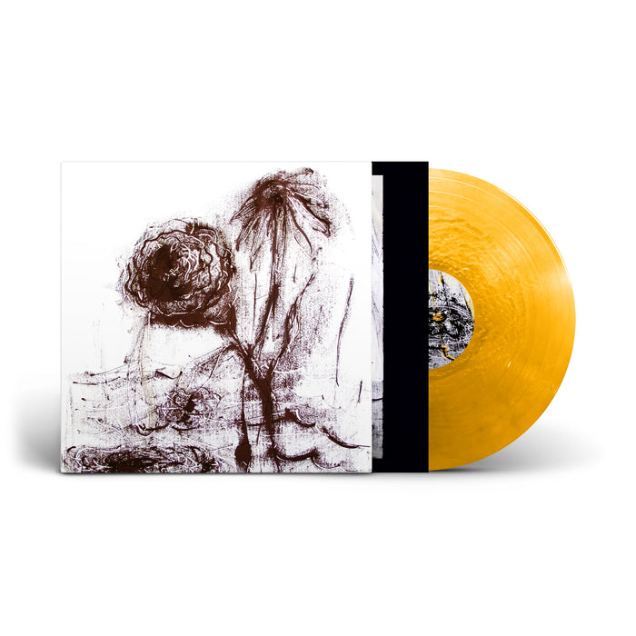 William Basinski - Passing the Cup of Sorrows vinyl - Record Culture