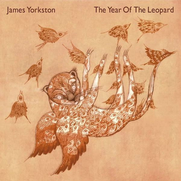 James Yorkston - The Year Of The Leopard (2023 Reissue) Vinyl - Record Culture