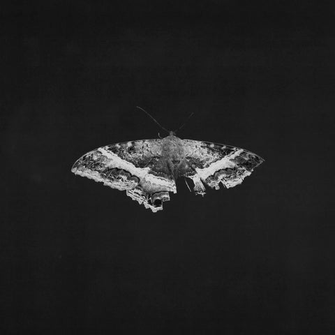 Kendrick Lamar - To Pimp A Butterfly (10th Anniversary Edition) vinyl - Record Culture