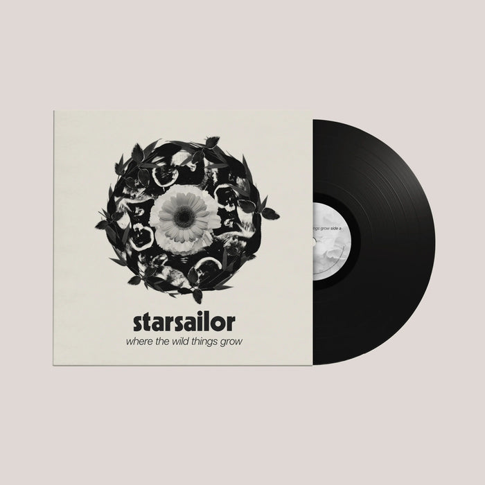 Starsailor - Where The Wild Things Grow vinyl - Record Culture