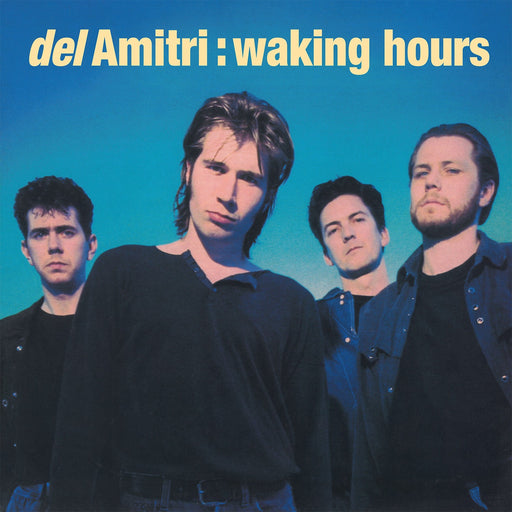 Del Amitri - Waking Hours (2024 Reissue) vinyl - Record Culture