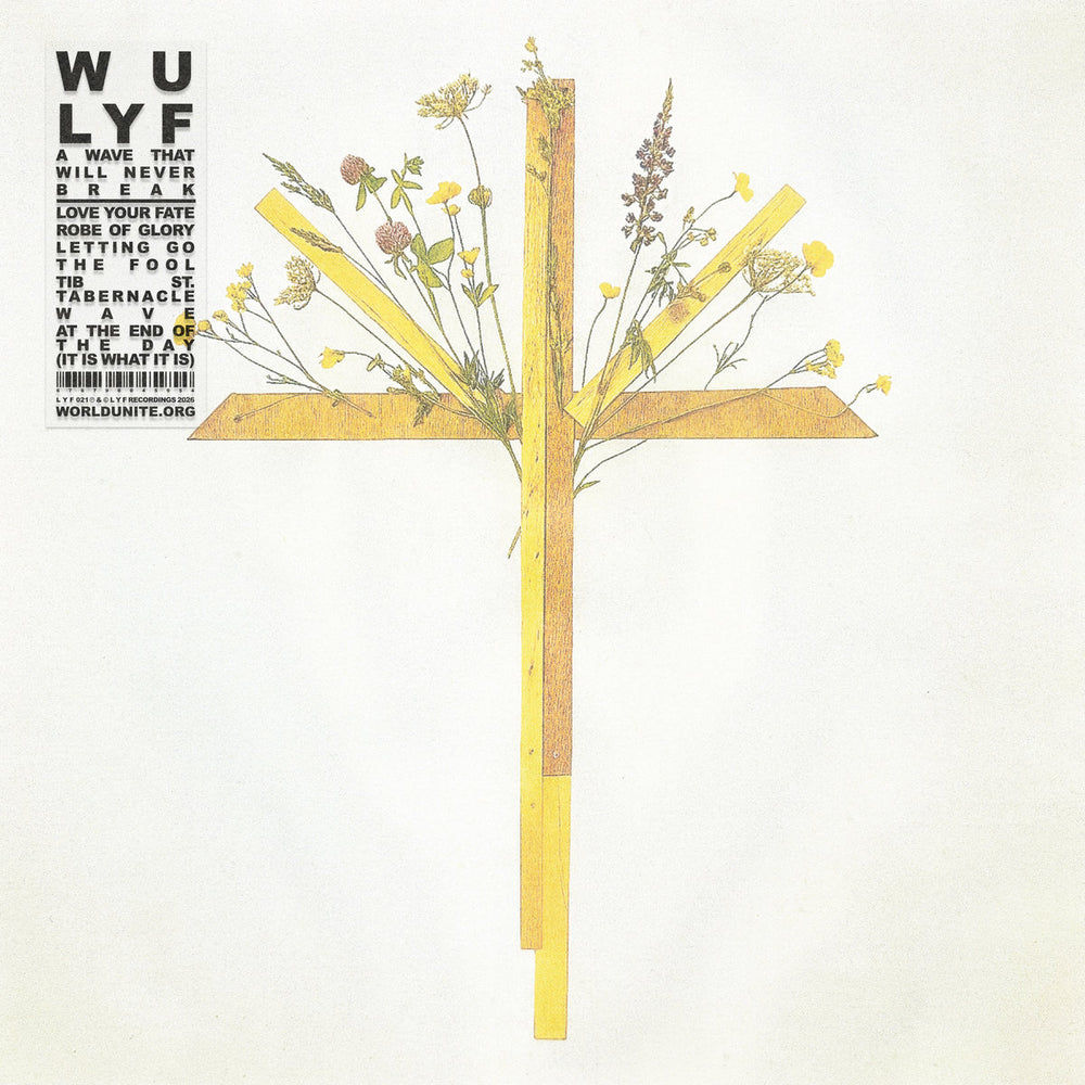 WU LYF - A Wave That Will Never Break vinyl - Record Culture