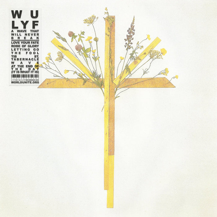 WU LYF - A Wave That Will Never Break vinyl - Record Culture