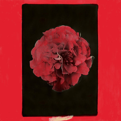 Activity - A Thousand Years In Another Way vinyl - Record Culture