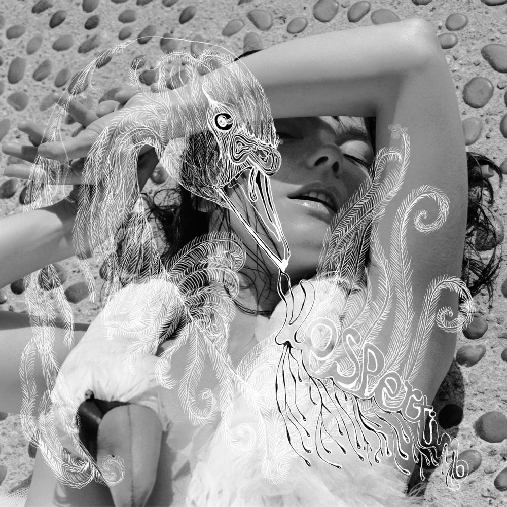 Bjork - Vespertine vinyl - Record Culture