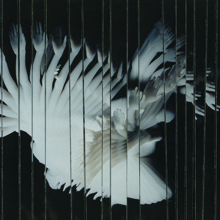 SCALER - Endlessly vinyl - Record Culture