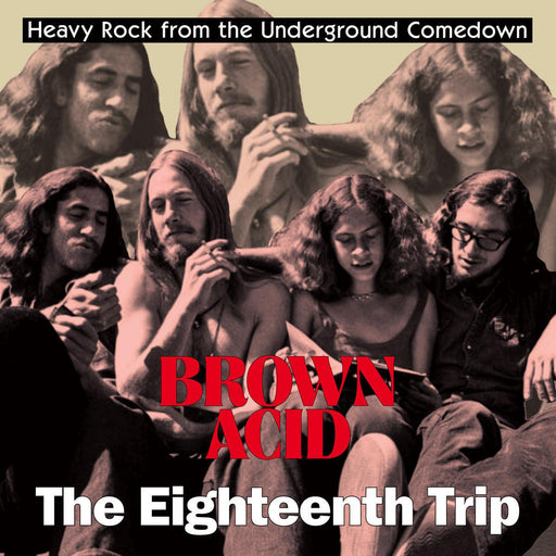Various Artists - Brown Acid: The Eighteenth Trip vinyl - Record Culture