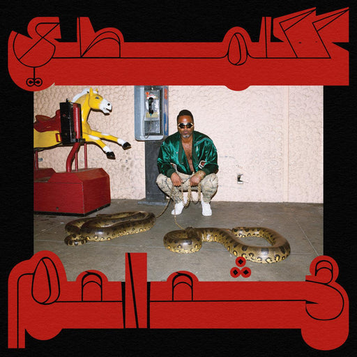 Shabazz Palaces - Robed In Rareness vinyl - Record Culture