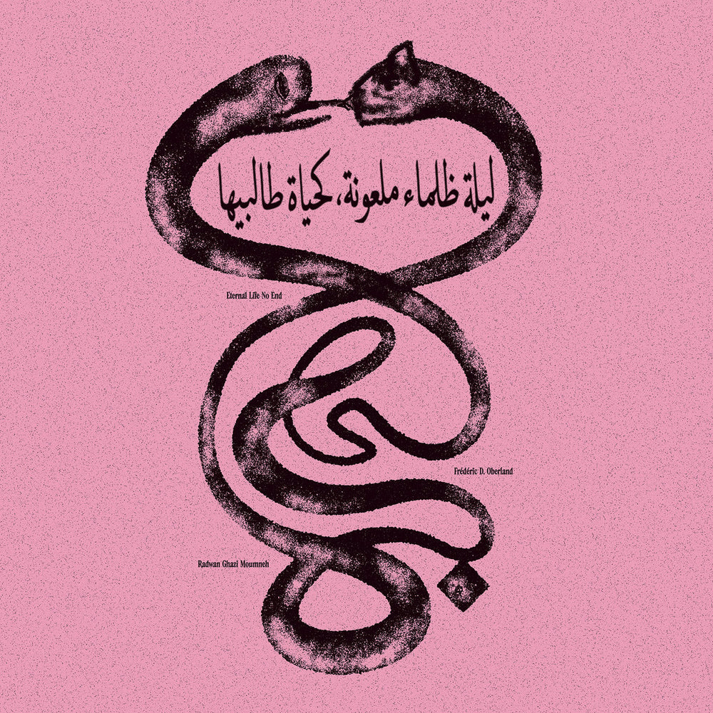 Radwan Ghazi Moumneh & Frédéric D. Oberland - Eternal Life No End (ليلة ظلماء ملعونة، كحياة طالبيها) vinyl - Record Culture