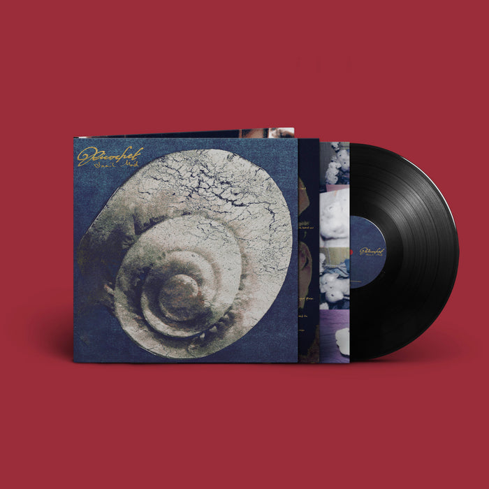 Snail Mail - Ricochet vinyl - Record Culture