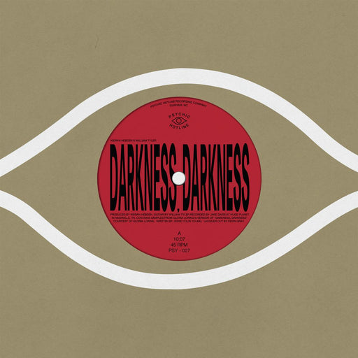 Kieran Hebden & William Tyler - Darkness, Darkness Vinyl - Record Culture