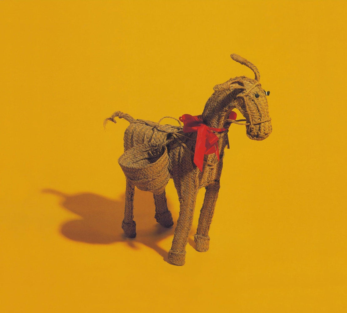 Carter The Unstoppable Sex Machine - Straw Donkeys: The Complete Singles vinyl - Record Culture