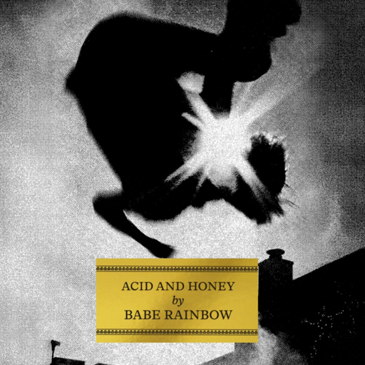 Babe Rainbow - Acid And Honey vinyl - Record Culture