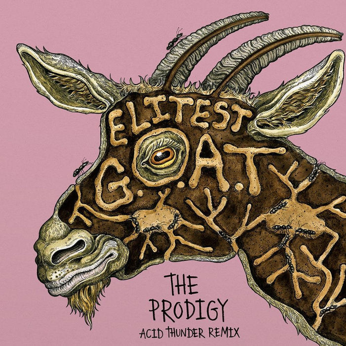 Sleaford Mods ft. Aldous Harding - Elitest G.O.A.T. (The Prodigy Acid Thunder Mix) vinyl - Record Culture