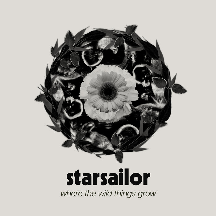 Starsailor - Where The Wild Things Grow vinyl - Record Culture