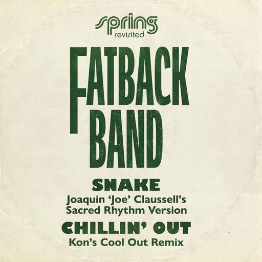 Fatback Band - Snake / Chillin’ Out (Spring Revisited Mixes) vinyl - Record Culture