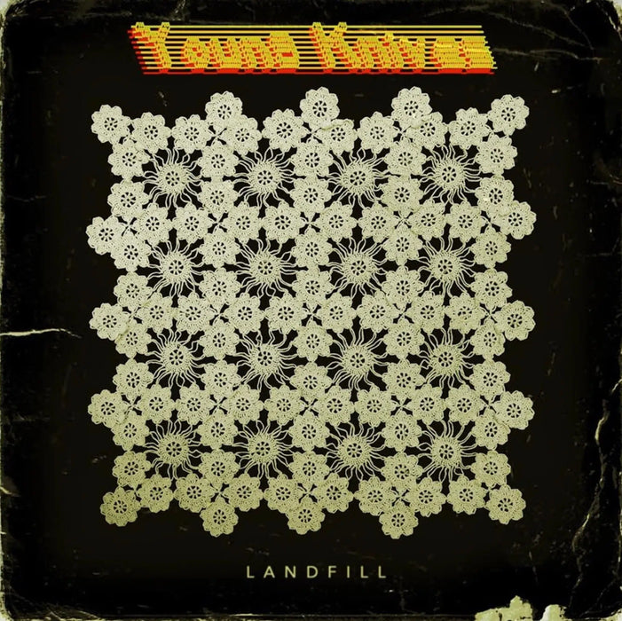 Young Knives - Landfill vinyl - Record Culture