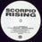 Scorpio Rising - Watermelon E.P. - 12" [PRE-OWNED] 3 For £10 - Used vinyl