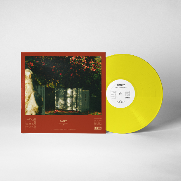 Casey - How To Disappear vinyl - Record Culture