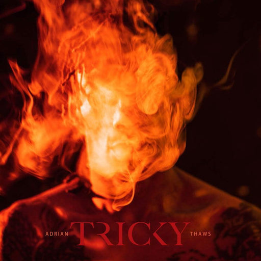 Tricky - Adrian Thaws vinyl - Record Culture