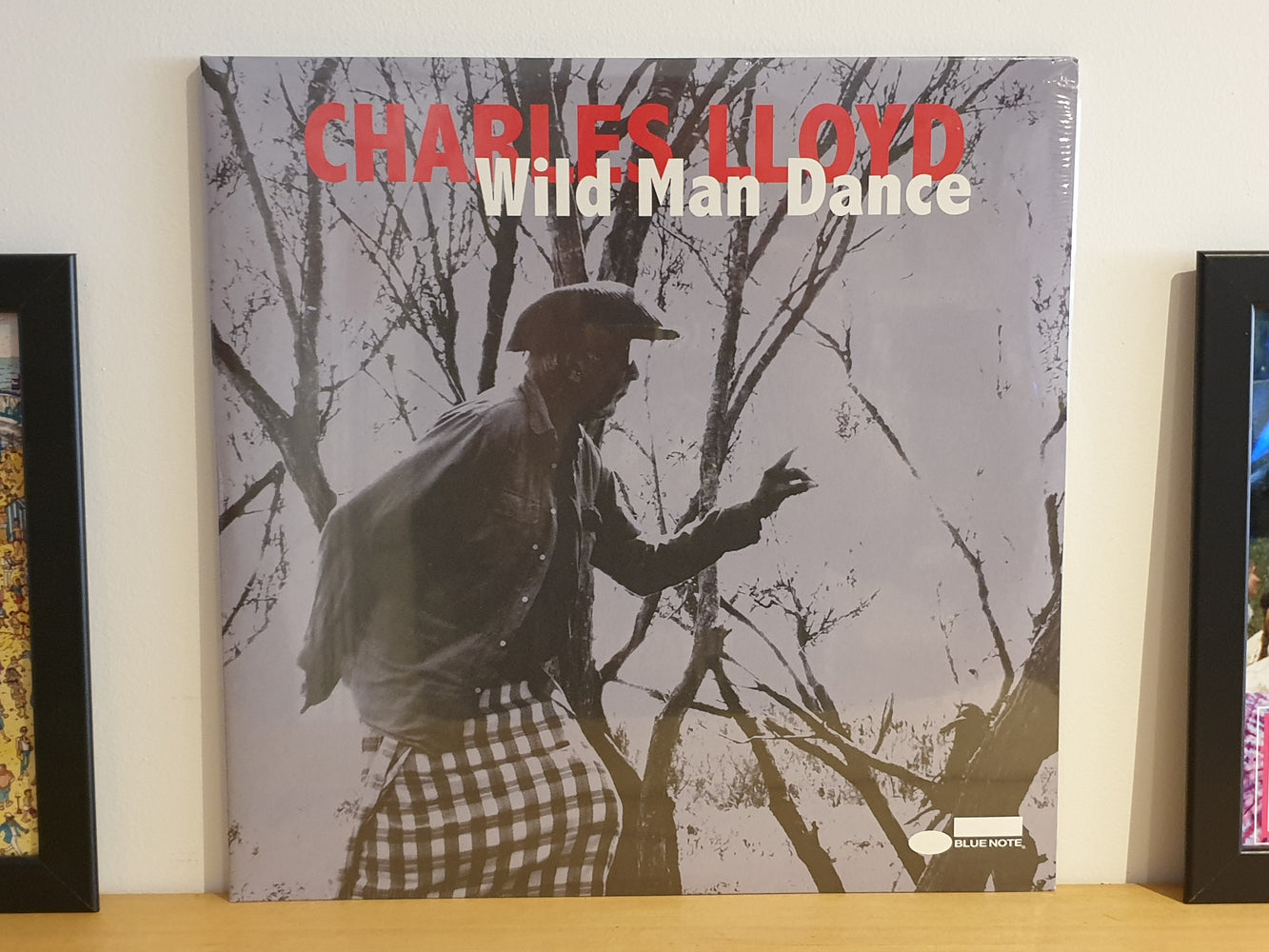Wild Man Dance [*PRE-OWNED*]