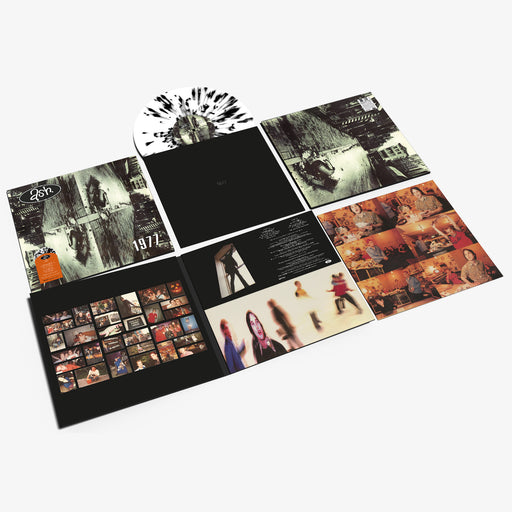 Ash - 1977 vinyl - Record Culture