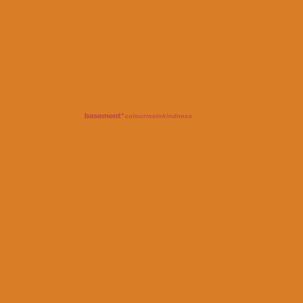 Basement - Colourmeinkindness (Deluxe Anniversary Edition) vinyl - Record Culture
