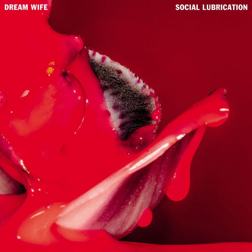 Dream Wife - Social Lubrication vinyl - Record Culture