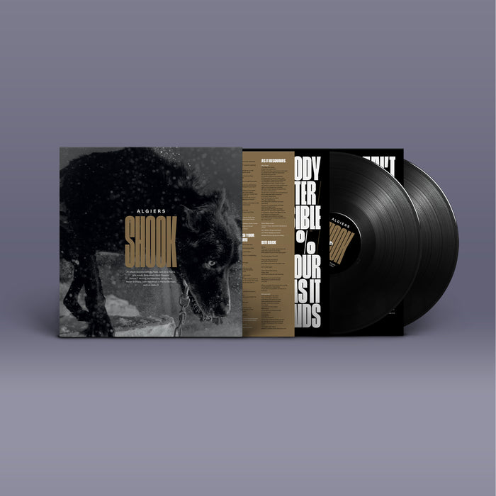 Algiers - Shook vinyl - Record Culture