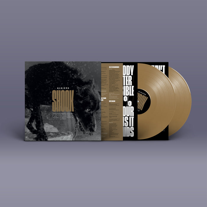 Algiers - Shook vinyl - Record Culture
