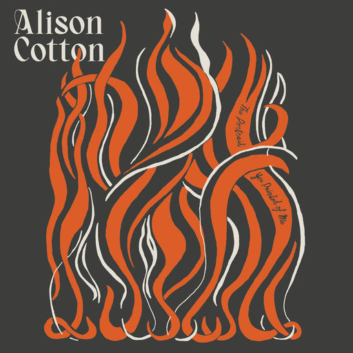 Alison Cotton - The Portrait You Painted Of Me Vinyl - Record Culture
