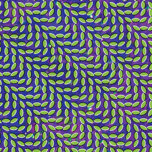 Animal Collective Merriweather Post Pavilion vinyl