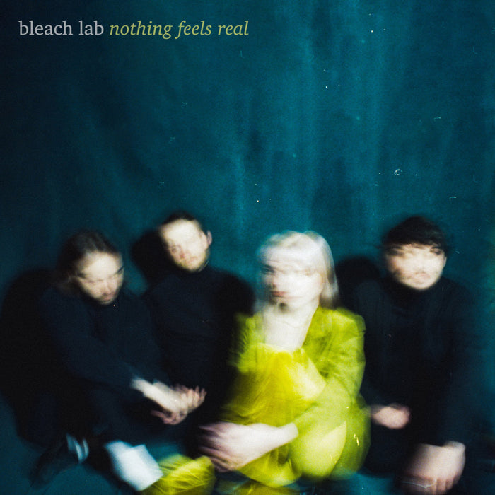 Bleach Lab - Nothing Feels Real vinyl